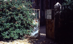 Uber Exif Photo