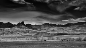 Uber Exif Photo
