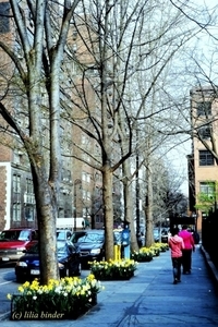 Uber Exif Photo