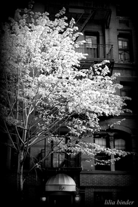 Uber Exif Photo