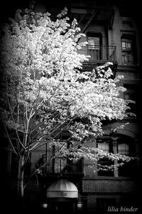 Uber Exif Photo