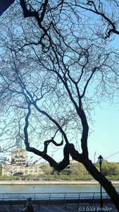 Uber Exif Photo