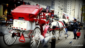 Uber Exif Photo