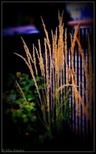 Uber Exif Photo