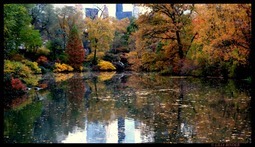 Uber Exif Photo
