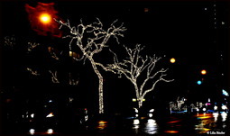 Uber Exif Photo