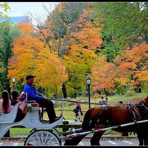 Photo ID 347074