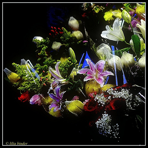 Photo ID 347401