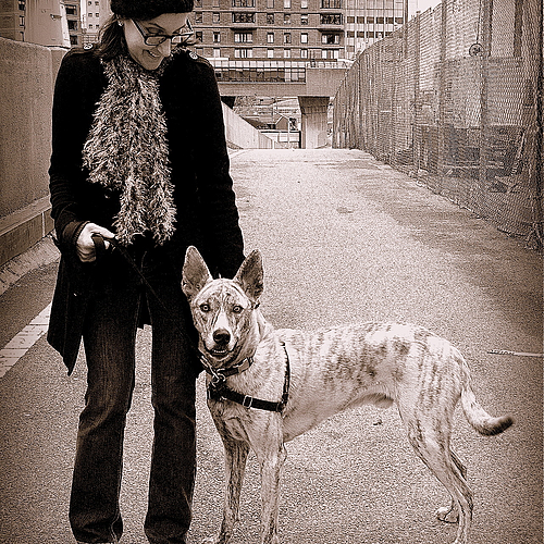 Photo ID 353602