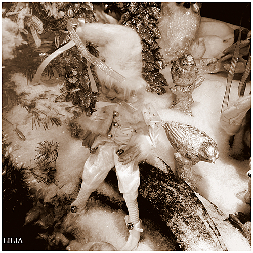 Photo ID 354012