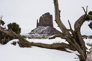 Uber Exif Photo