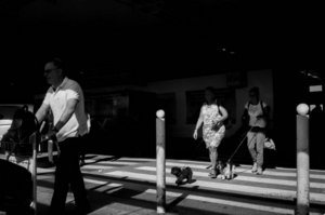 Uber Exif Photo