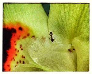 Uber Exif Photo