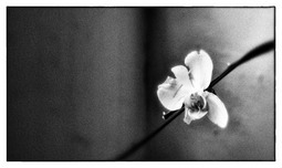 Uber Exif Photo