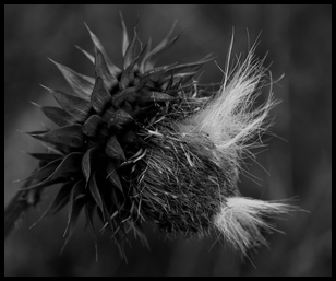 Uber Exif Photo
