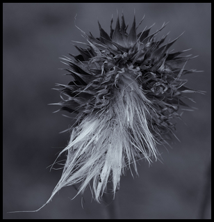 Uber Exif Photo