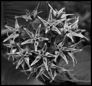 Uber Exif Photo