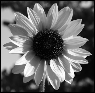 Uber Exif Photo