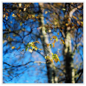 Uber Exif Photo