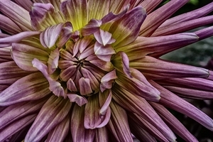 Uber Exif Photo