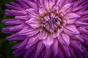 Uber Exif Photo