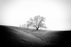 Uber Exif Photo