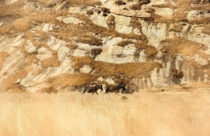Uber Exif Photo