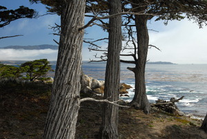Uber Exif Photo