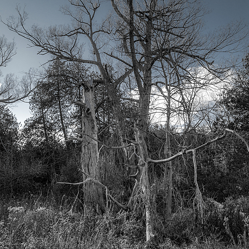 Photo ID 546195
