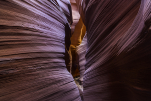 Uber Exif Photo