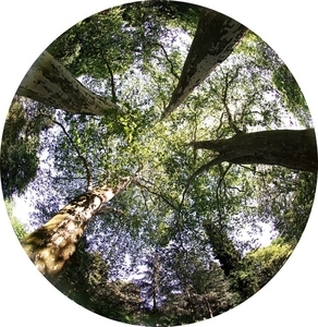 Uber Exif Photo