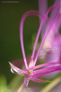 Uber Exif Photo