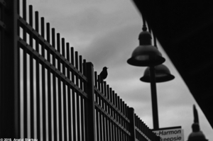 Uber Exif Photo