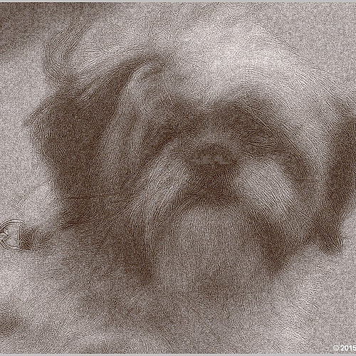 Photo ID 543025