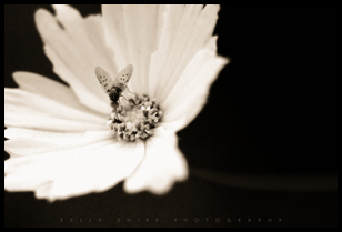 Uber Exif Photo
