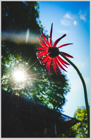 Uber Exif Photo