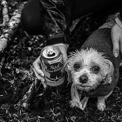 Photo ID 548480