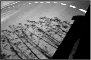 Uber Exif Photo