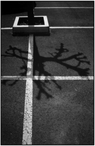 Uber Exif Photo