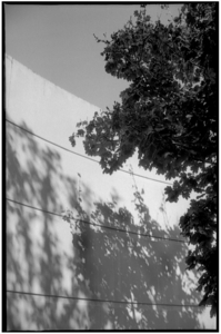 Uber Exif Photo