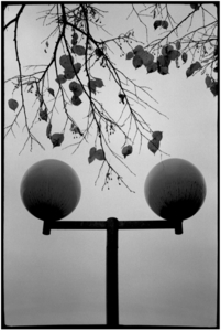 Uber Exif Photo