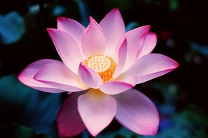 Uber Exif Photo