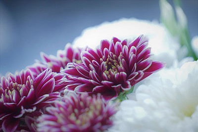 Uber Exif Photo