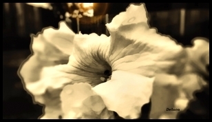 Uber Exif Photo