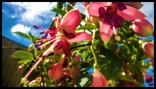 Uber Exif Photo