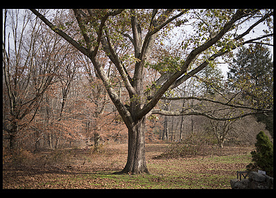 Uber Exif Photo