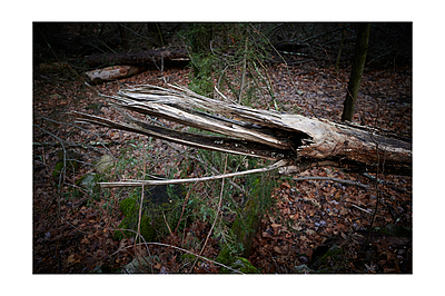 Uber Exif Photo
