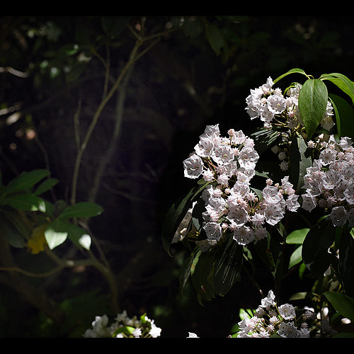 Photo ID 139840