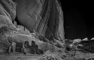 Uber Exif Photo