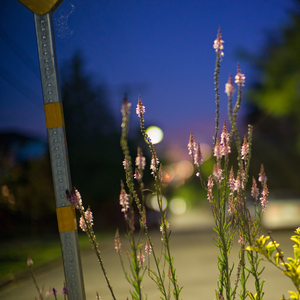 Uber Exif Photo